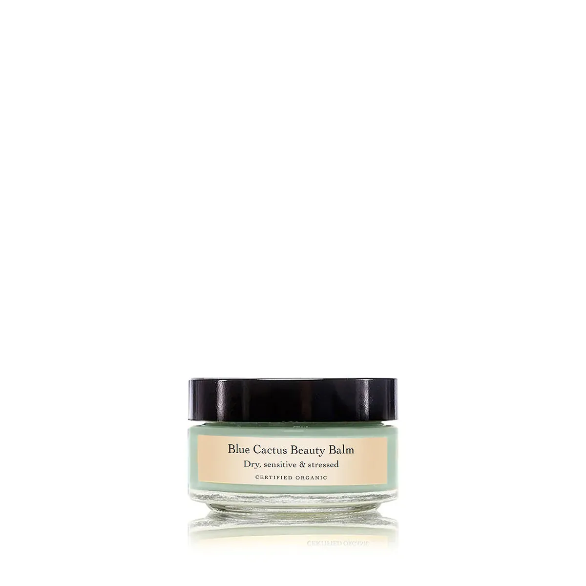 Blue Cactus Beauty Balm